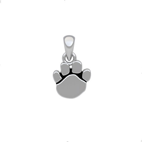 Dije Huella De Plata .925 Hombre Mujer Agalea Color Plateado