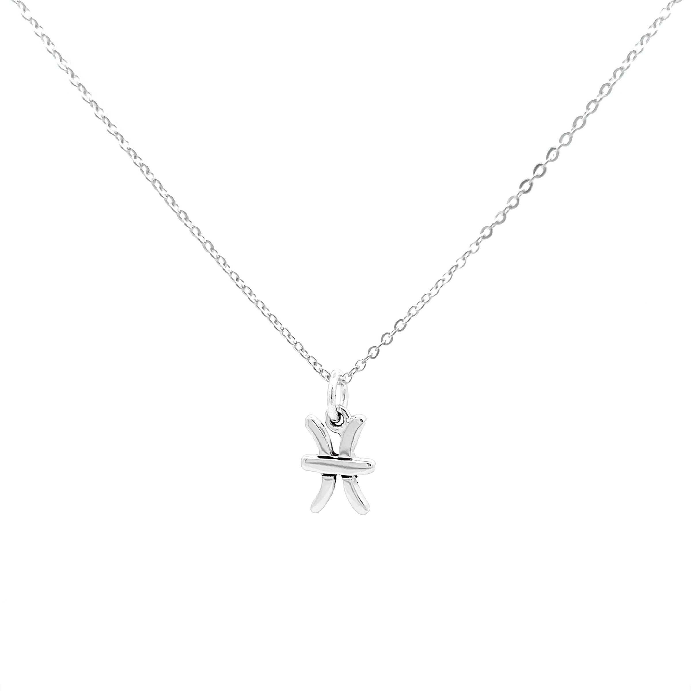Collar Dije Zodiaco Plata .925 De 45 Cm Mujer Hombre Agálea - Image 19